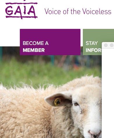 Voice of the voiceless